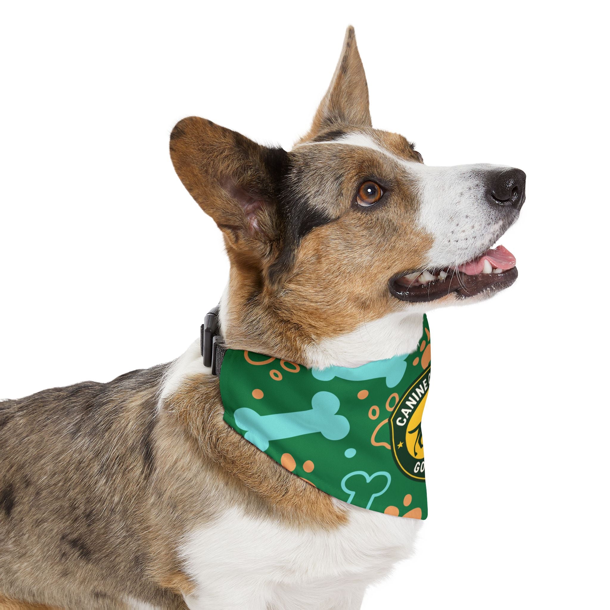 Canine Caddies Spring Dog Gear Bundle