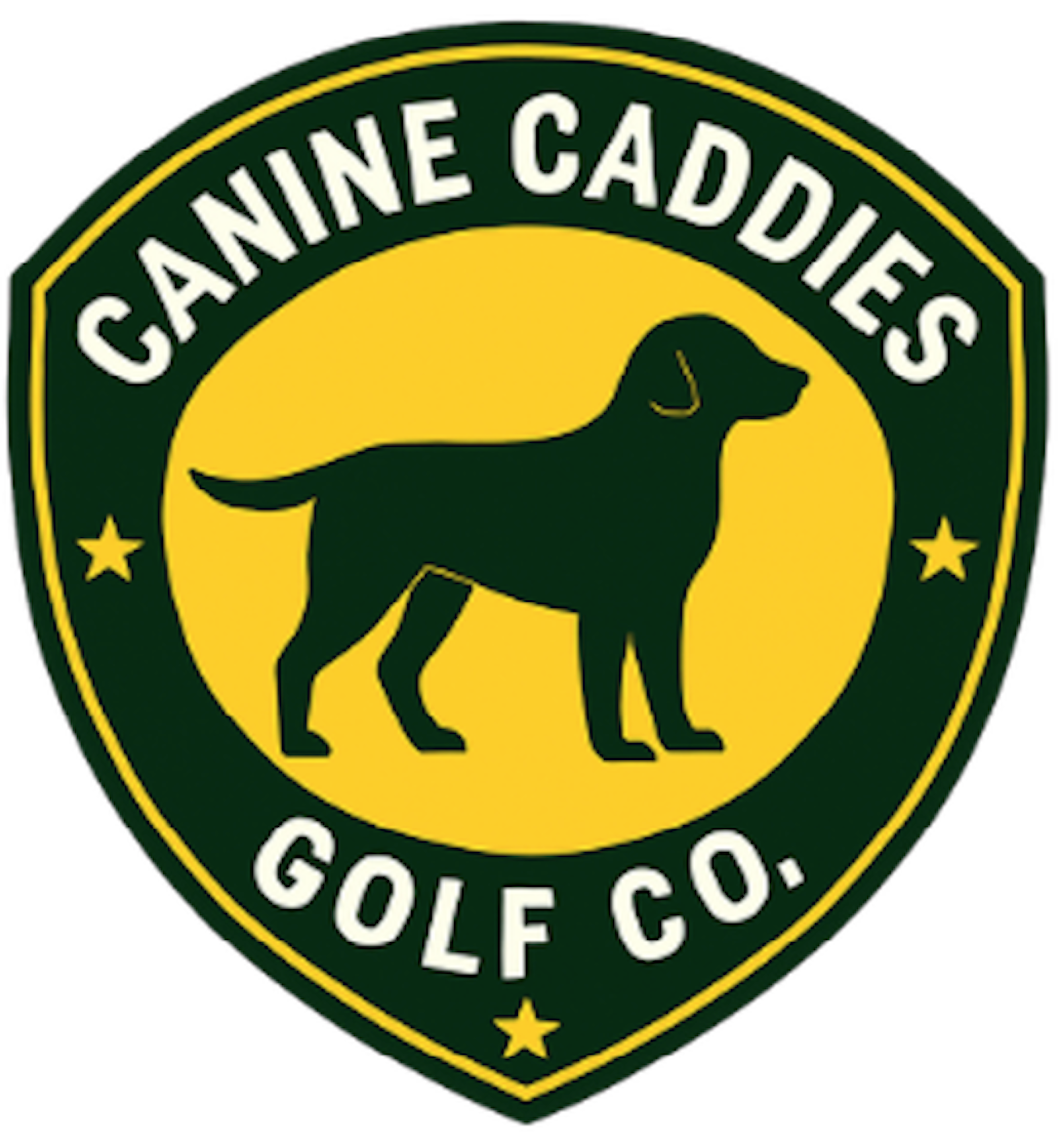 Golf Ball Condition Descriptions – Canine Caddies Golf Co.