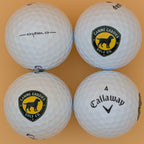 Callaway Canine Caddies Logo Balls (4-pack)