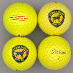 Titleist Canine Caddies Logo Balls (4-pack)