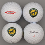 Titleist Canine Caddies Logo Balls (4-pack)