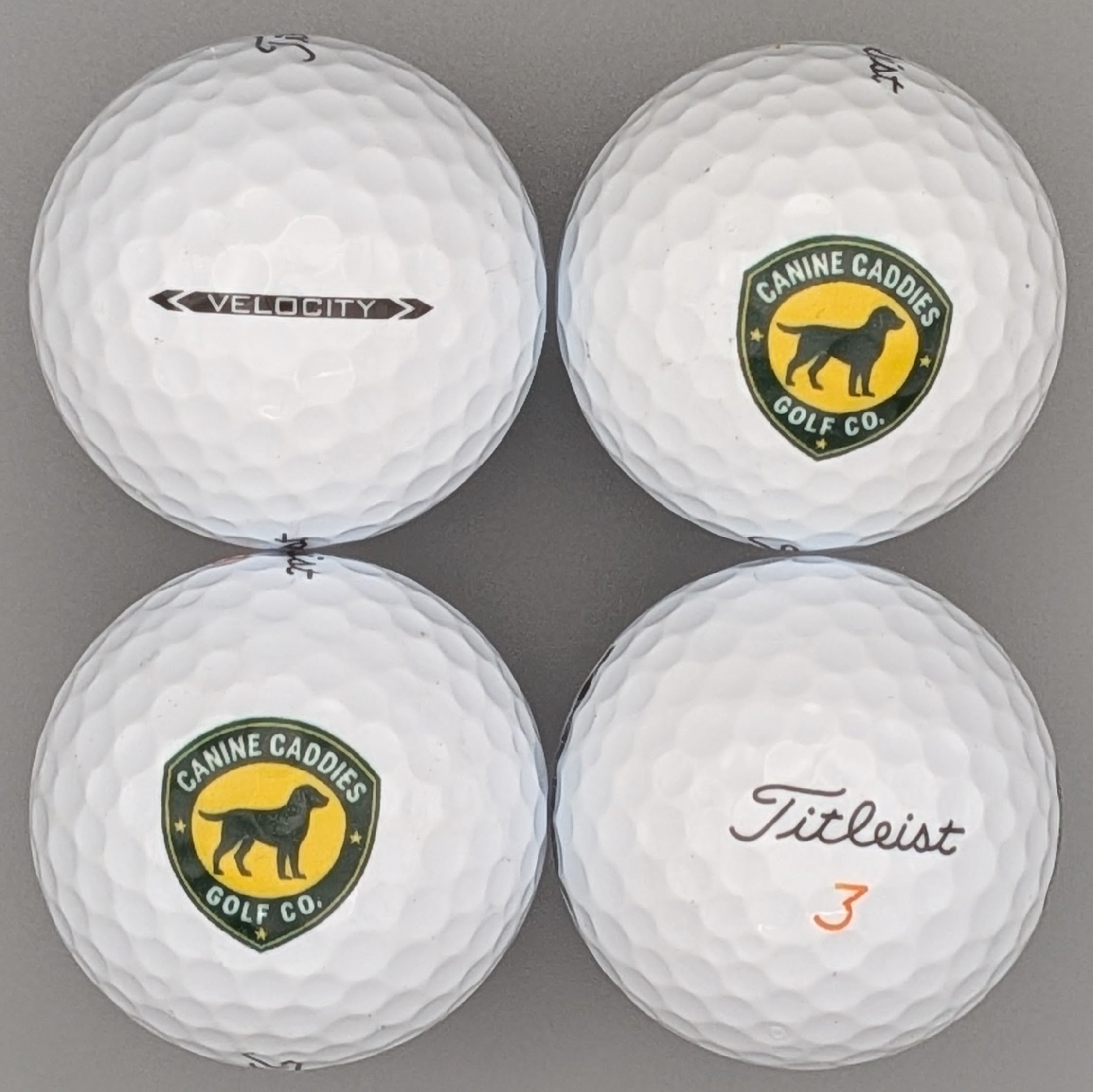 Titleist Canine Caddies Logo Balls (4-pack)